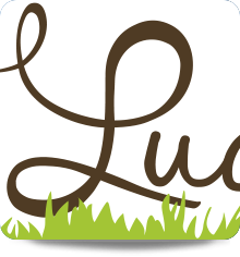 print: image 2 0f 12 thumb